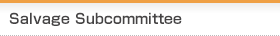 Salvage Subcommittee